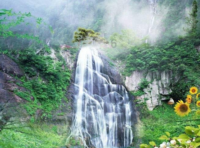 缤纷水果茶无敌版
